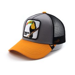 Snap Cap
